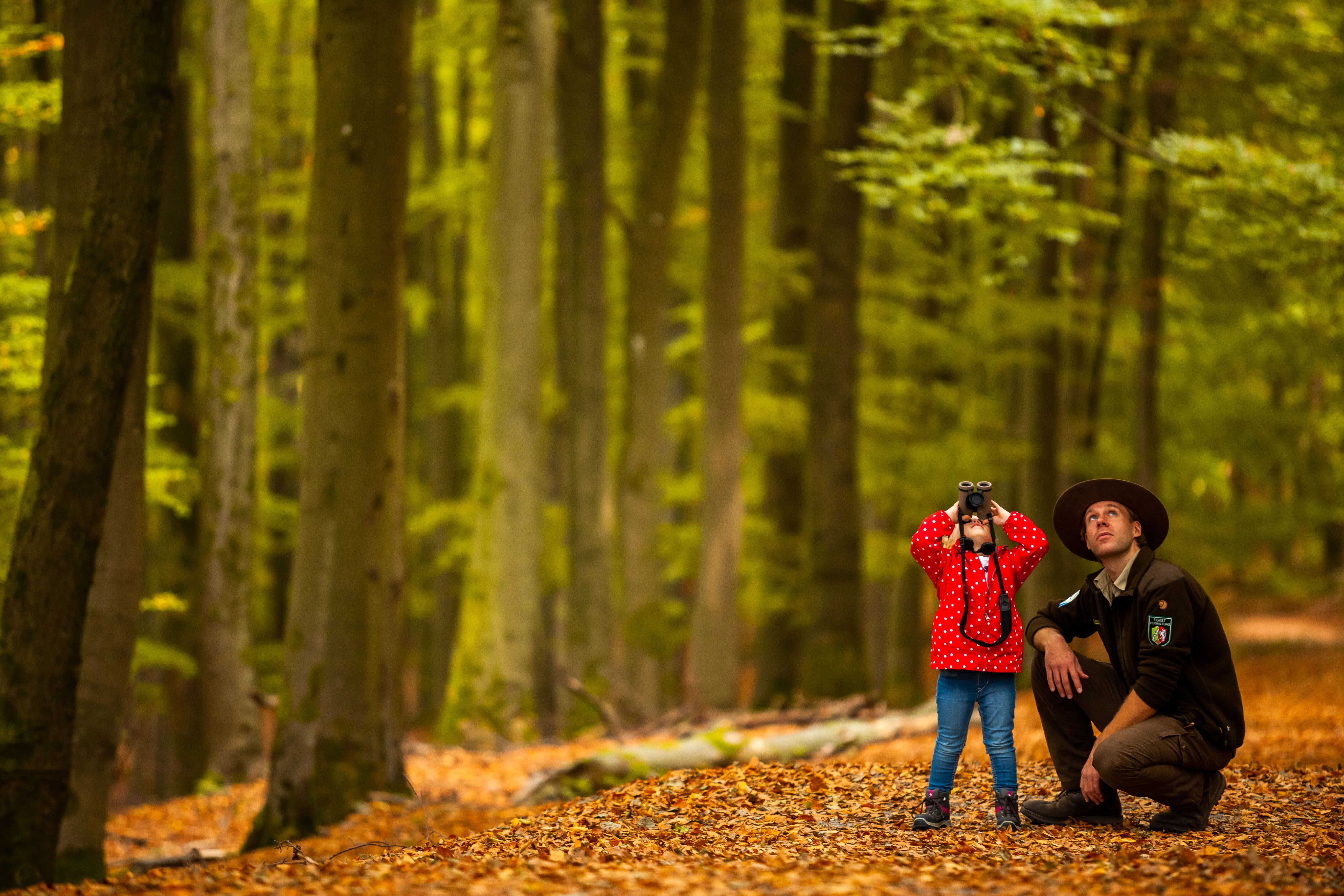 Kind mit Ranger im Wald, Nationalpark Eifel