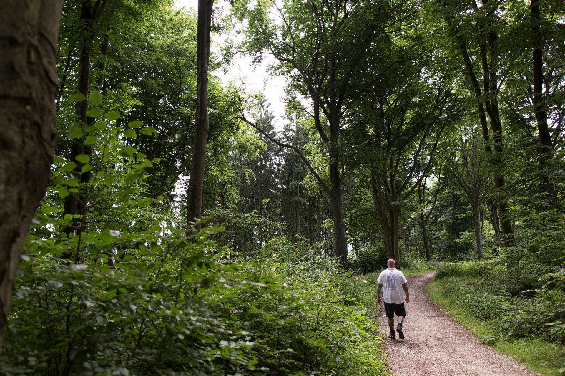 Marcel Lossie in einem Wald bei Bielefeld