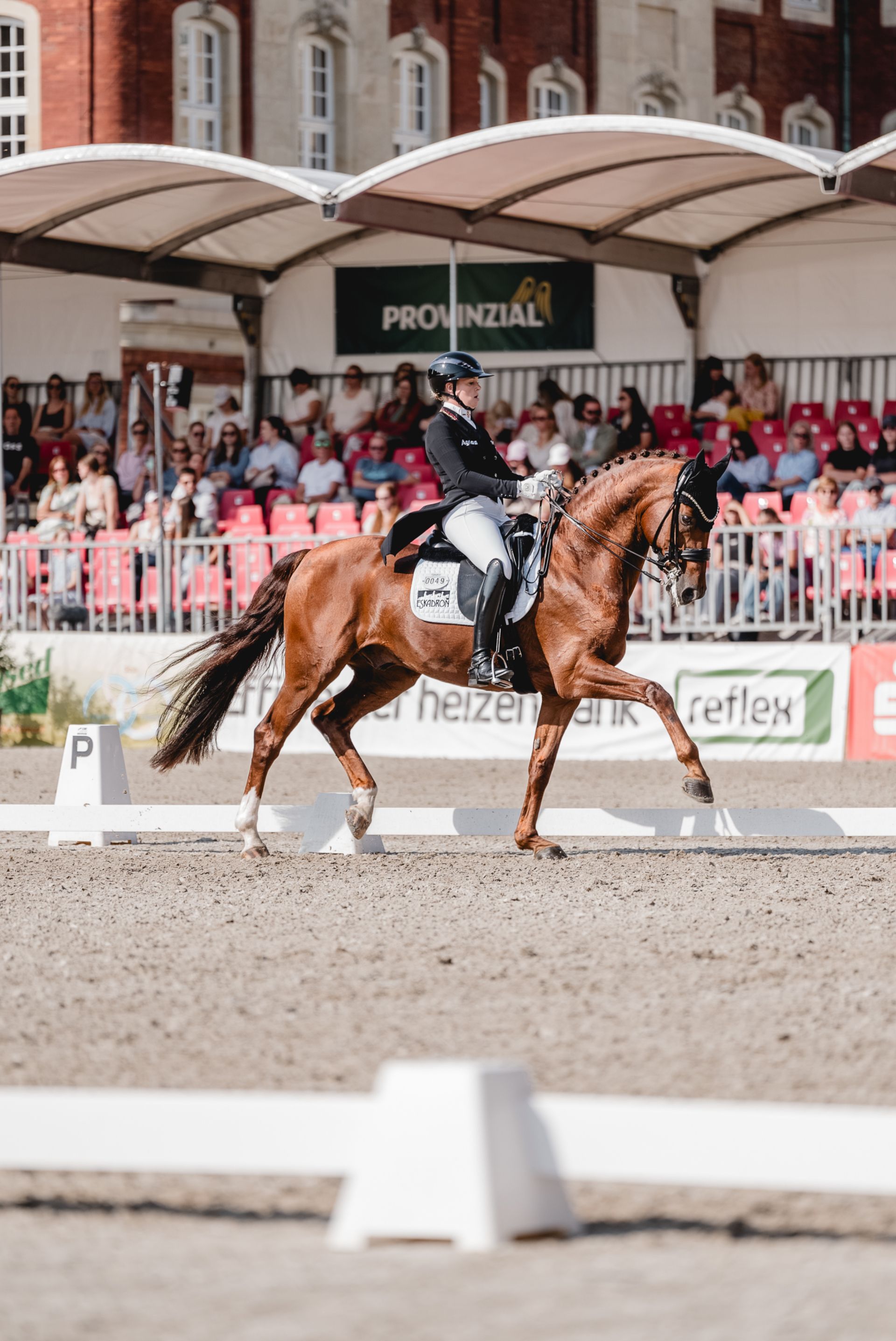 German dressage rider Katha Hemmer secures the Grand Prix de Dressage in 2024