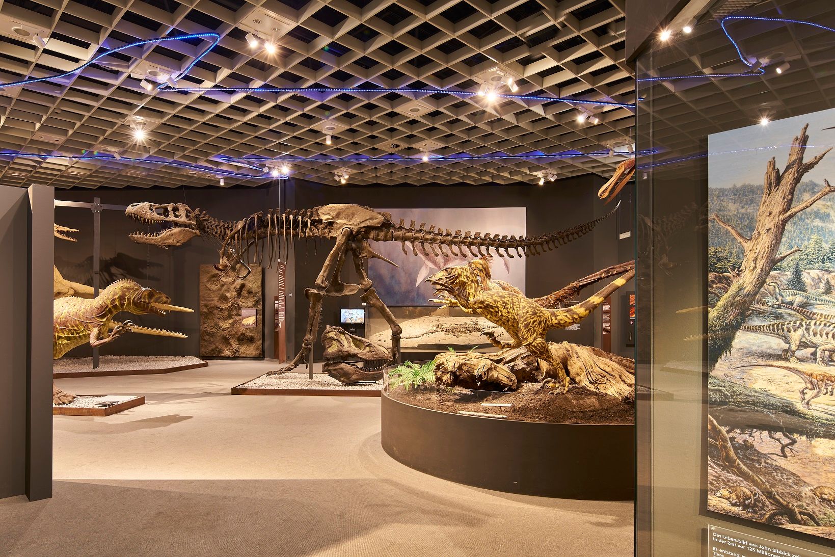 LWL Museum of Natural History Exhibits