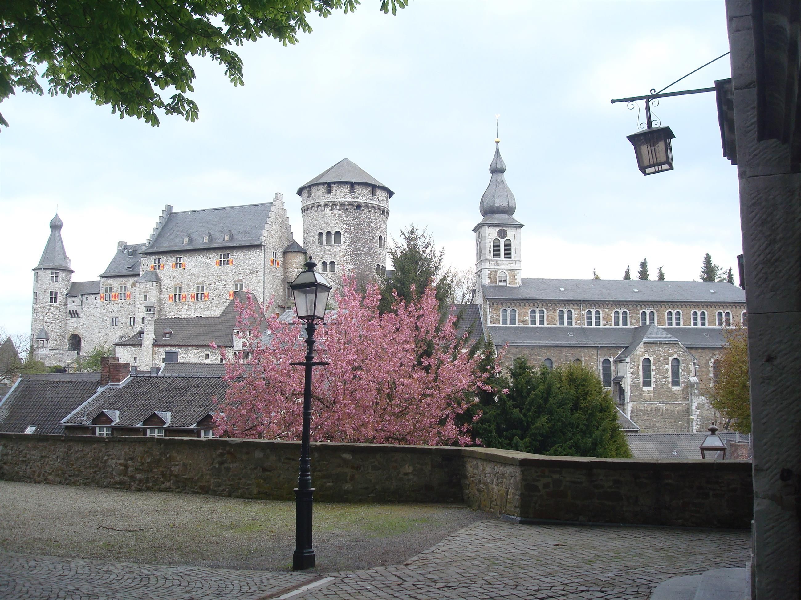 Stolberg Castle with flowering cherry trees