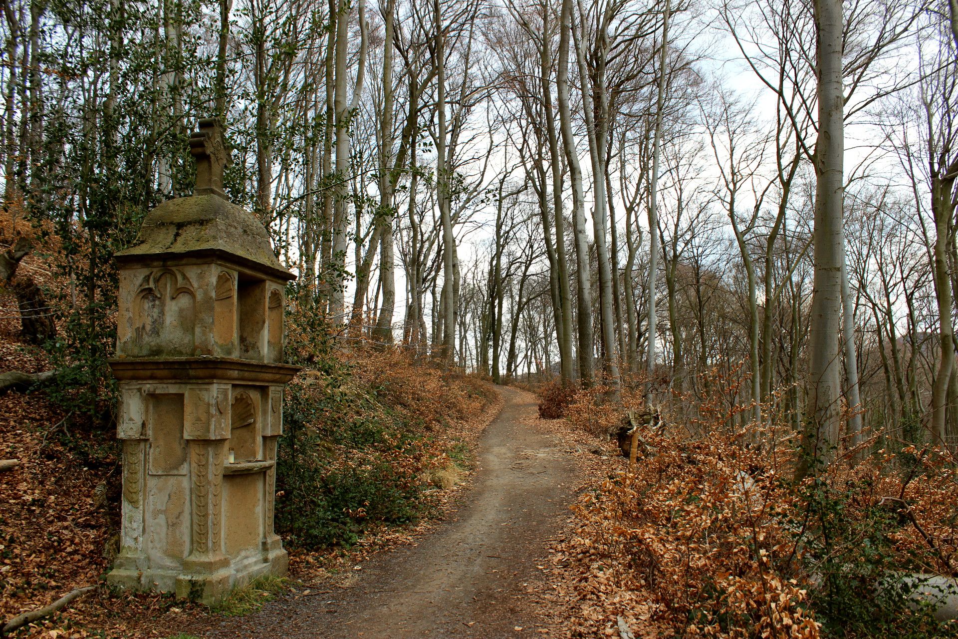 Beethovenwanderweg Petersberg Bittweg