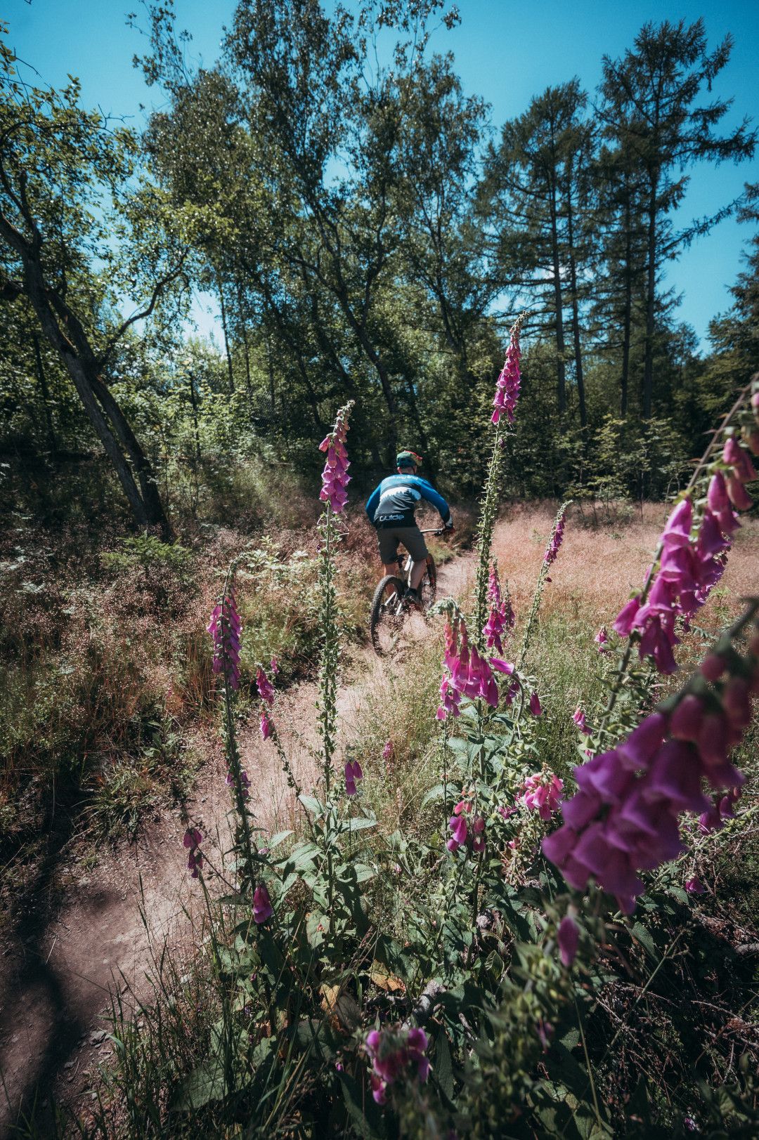 Mountain biking in the Sauerland