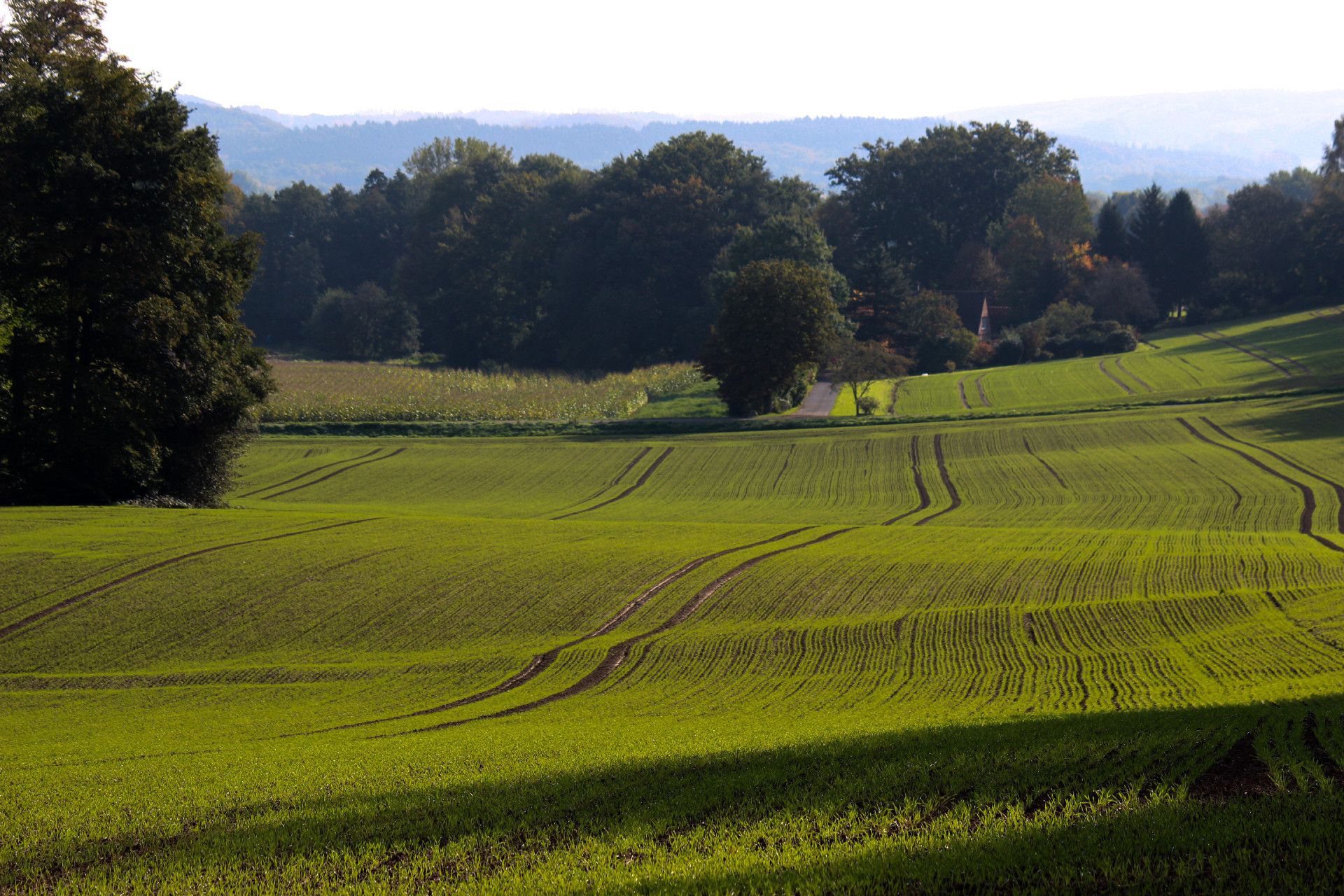 Tourismus NRW e.V., Tecklenburger Land Wanderweg Canyon Blick