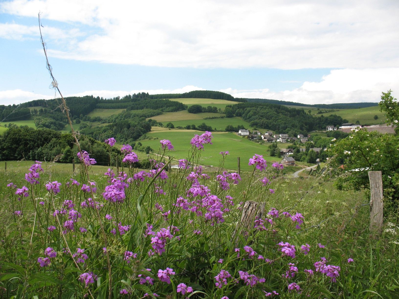 Circular walk through Medebach and its villages in the Sauerland region