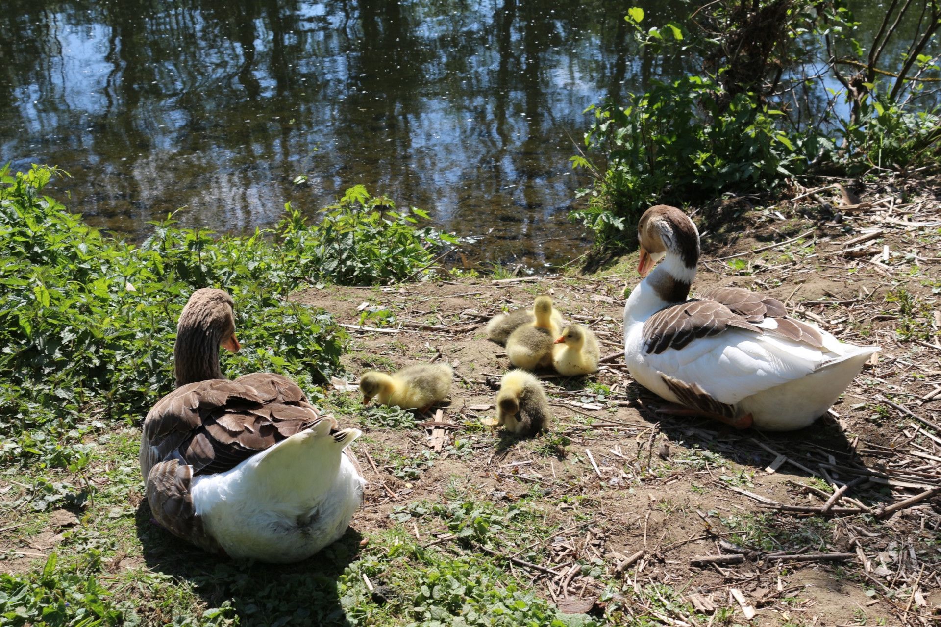 Tourismus NRW e.V., Enten Mäanderweg