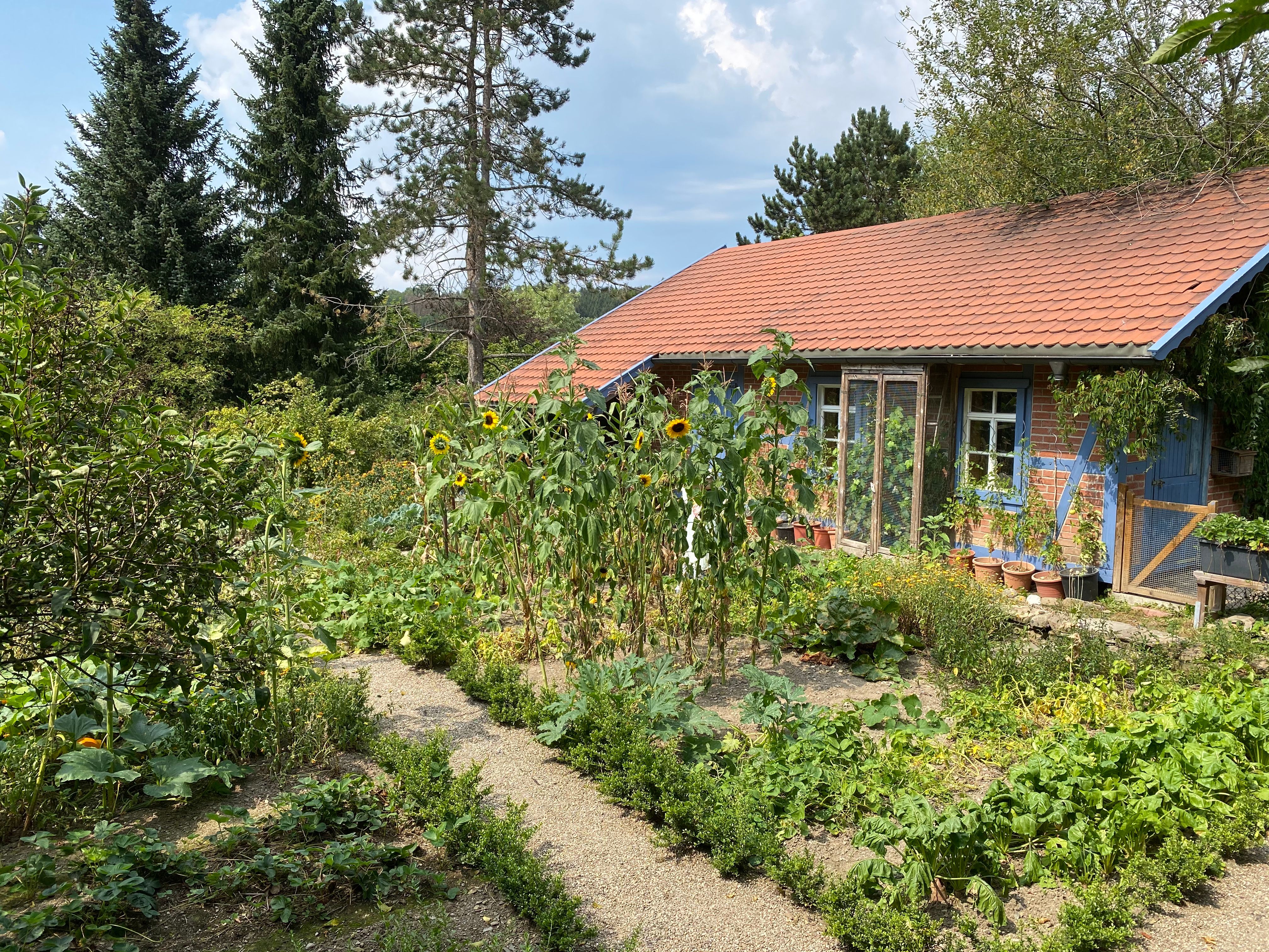 Cottage garden