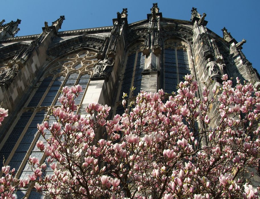 Spring is a wonderful time to start a city trip. Aachen Cathedral is worth a visit at any time of year