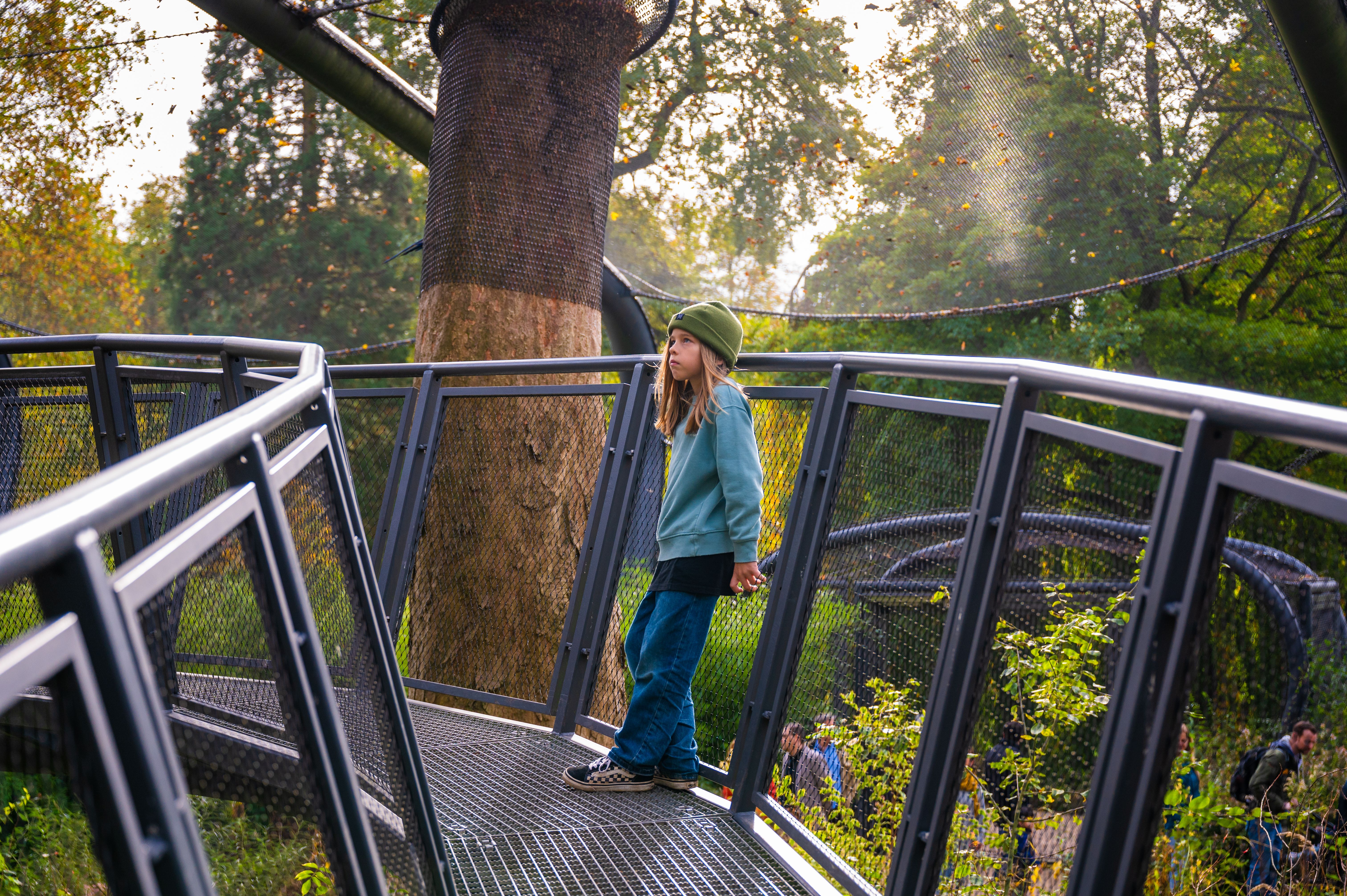 Child in the Green Zoo Wuppertal